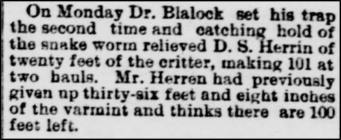 Herren tapeworm article